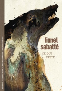 Image de LIONEL SABATTE AE  CE QUI RESTE