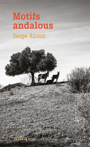 Image de Motifs andalous