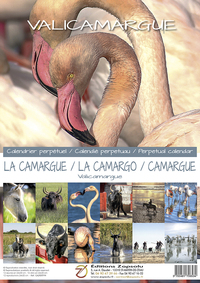 Picture of Calendrier perpétuel CAMARGUE format 42,5x29,7 cm
