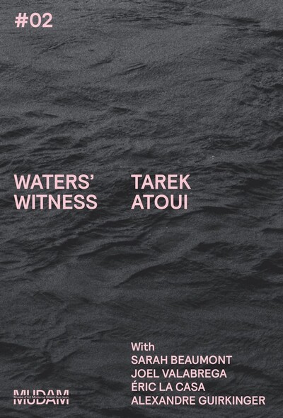 Image de Waters' Witness #02