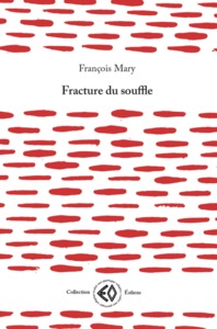 Image de FRACTURE DU SOUFFLE