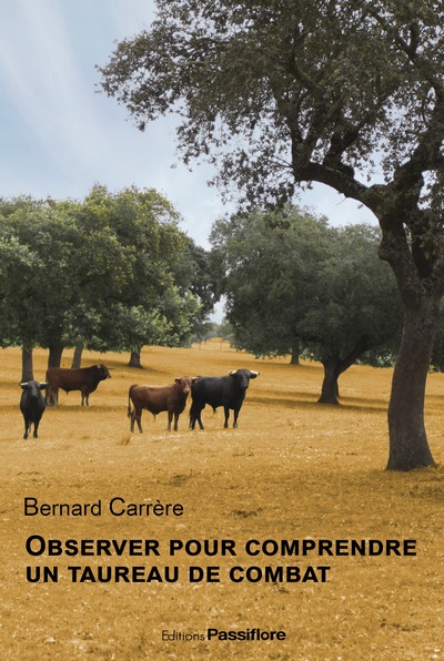 Image de Observer pour comprendre un taureau de combat