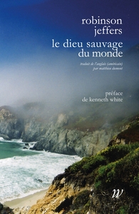 Picture of Le dieu sauvage du monde