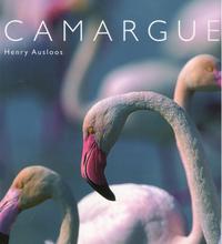 Image de CAMARGUE - PHOTOS DE HENRY AUSLOOS