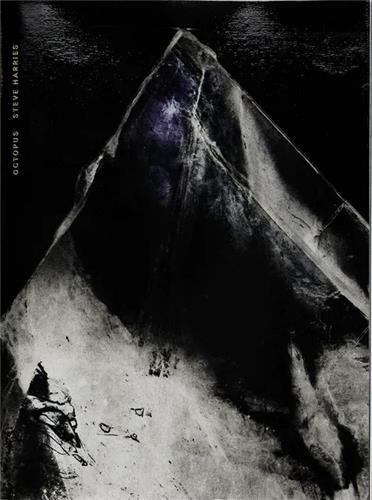 Image de Steve Harries Octopus /anglais