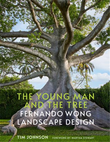 Picture of The Young Man and the Tree : Fernando Wong Landscape Design /anglais