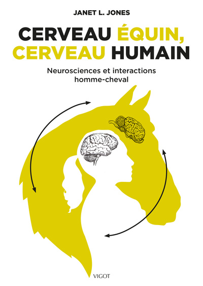 Image de Cerveau équin, cerveau humain