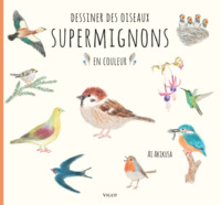 Picture of Dessiner des oiseaux supermignons en couleur