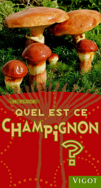 Picture of Quel est ce champignon ?