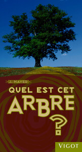 Picture of Quel est cet arbre ?