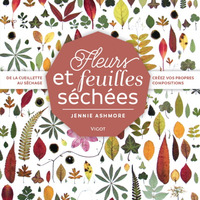 Image de Fleurs et feuilles séchées