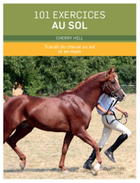 Image de 101 exercices au sol