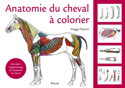 Image de Anatomie du cheval à colorier