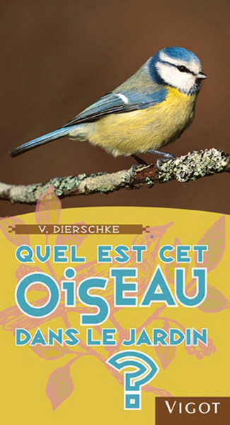 Picture of Quel est cet oiseau dans le jardin ?