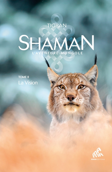Image de Shaman, L'Aventure mongole : Tome 2, La Vision