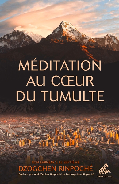 Image de Méditation au coeur du tumulte
