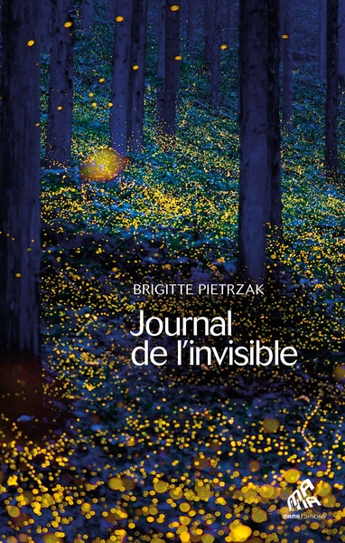 Picture of Journal de l'invisible