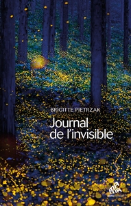 Picture of Journal de l'invisible