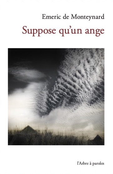 Picture of Suppose qu'un ange