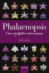 Picture of Phalaenopsis - Une orchidée méconnue