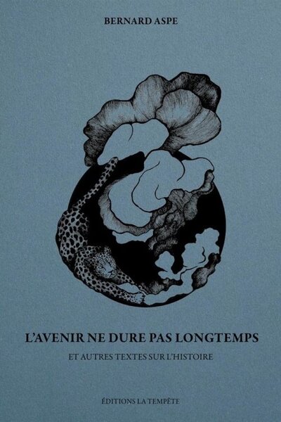 Picture of L'AVENIR NE DURE PAS LONGTEMPS : ET AUTRES TEXTES SUR L'HISTOIRE