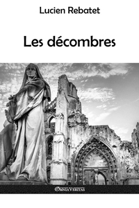 Image de Les décombres