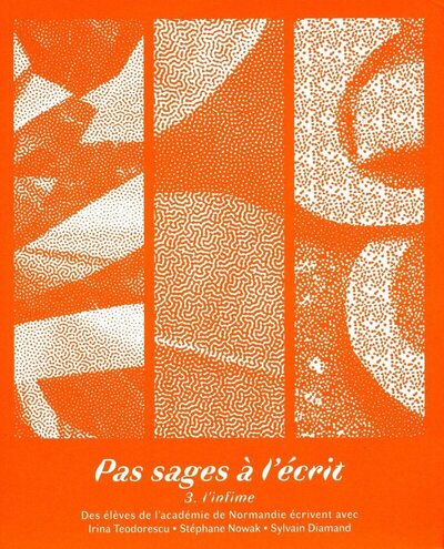 Image de Pas sages à l'écrit - tome 3 L'infime