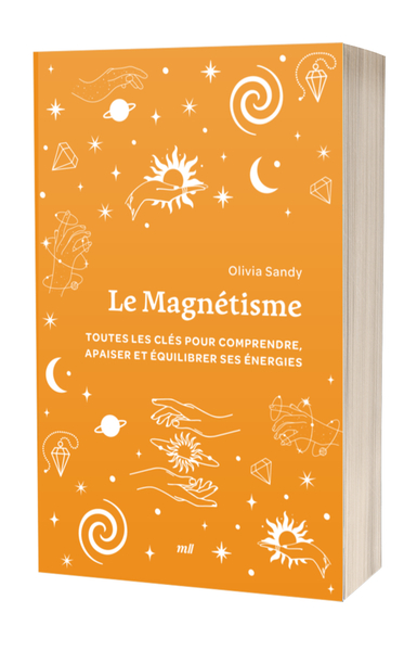 Image de Le Magnétisme (format poche)