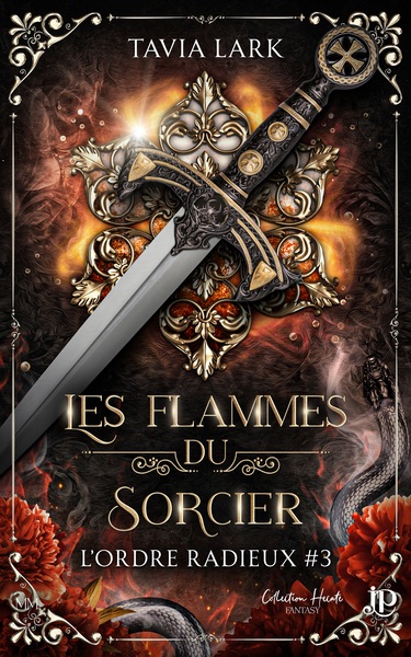 Image de Les flammes du sorcier