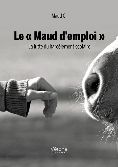Image de Le « Maud d'emploi » - La lutte du harcèlement scolaire