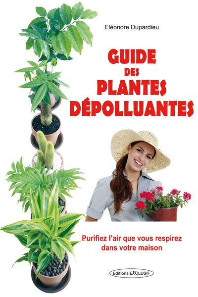 Image de Guide des plantes dépolluantes - Purifiez l'air que vous respirez dans votre maison