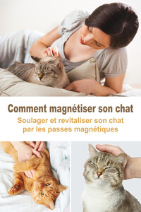 Image de Comment magnétiser son chat - Soulager et revitaliser son chat par les passes magnétiques