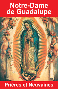 Picture of Notre-Dame de Guadalupe - Prières et Neuvaines