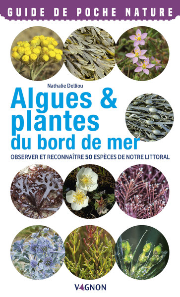 Picture of Algues & plantes du bord de mer. Observer et reconnaître 50 espèces de notre littoral