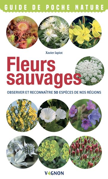 Image de Fleurs sauvages - Observer et reconnaître 50 espèces de nos régions