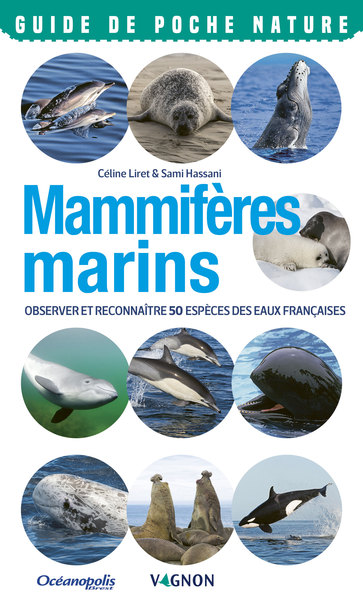 Picture of Mammifères marins. Observer et reconnaître 50 espèces des eaux françaises