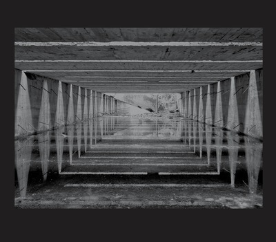 Picture of Jardin de l'ombre / An Almost Nothing