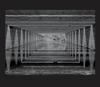 Picture of Jardin de l'ombre / An Almost Nothing