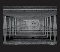 Picture of Jardin de l'ombre / An Almost Nothing