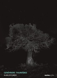 Picture of Genévrier thurifères (Juniperus Thurifera)