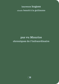 Picture of Pas vu Maurice. Chroniques de l'infraordinaire