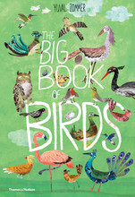 Image de The Big Book of Birds /anglais