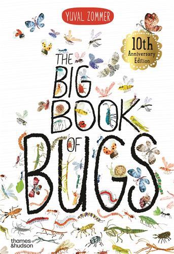 Image de The Big Book of Bugs (2nd edition) /anglais
