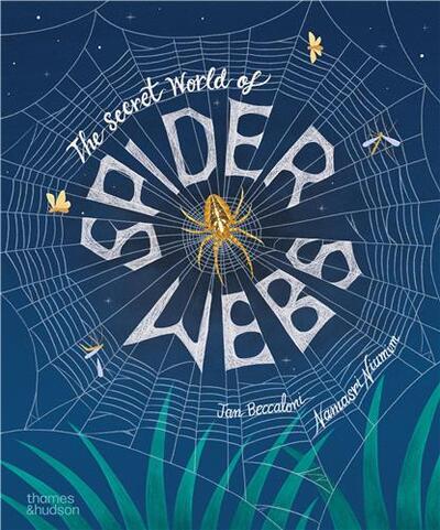 Picture of The Secret World of Spider Webs /anglais