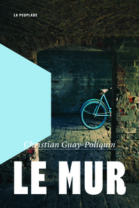 Image de Le mur