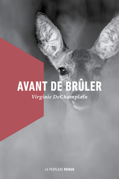 Image de Avant de brûler