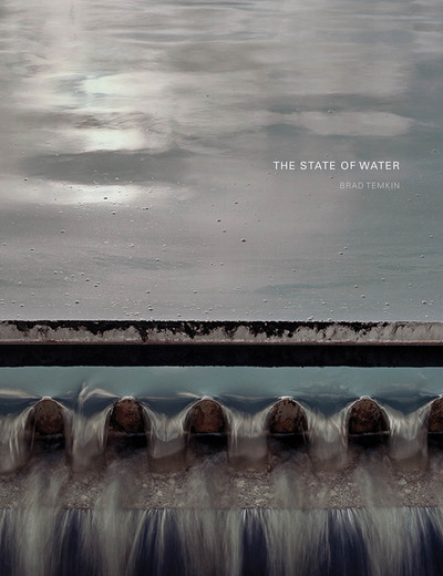 Picture of Brad Temkin: The State of Water /anglais