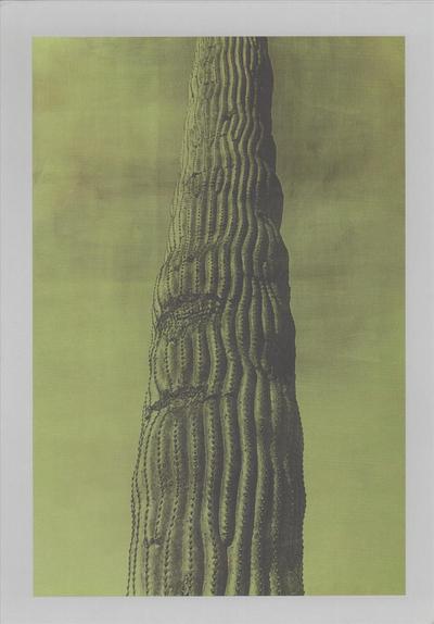 Image de Jungjin Lee Desert /anglais