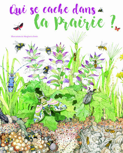 Image de Qui se chache dans la prairie ?