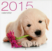 Image de Calendrier mural Chiens 2015